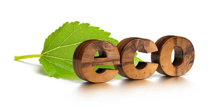 Woodville Design Ecologisch Bouwen Met Duurzame Materialen