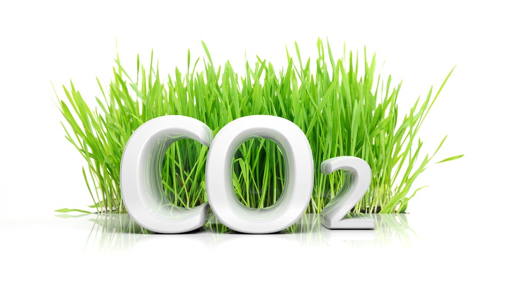 Woodville Design Ecologisch Bouwen Vermindering CO2 uitstoot
